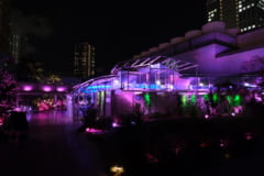 夜のサンシャイン水族館「もっと性いっぱい展」に行ってきました。真っピンク空間にドキドキ…の画像 20/21