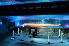 夜のサンシャイン水族館「もっと性いっぱい展」に行ってきました。真っピンク空間にドキドキ…の画像 21/21