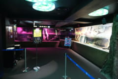 夜のサンシャイン水族館「もっと性いっぱい展」に行ってきました。真っピンク空間にドキドキ…の画像 14/21