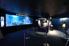 夜のサンシャイン水族館「もっと性いっぱい展」に行ってきました。真っピンク空間にドキドキ…の画像 6/21
