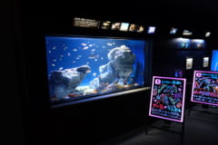 夜のサンシャイン水族館「もっと性いっぱい展」に行ってきました。真っピンク空間にドキドキ…の画像 9/21