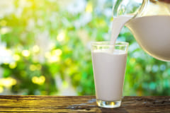 お腹を壊さずに牛乳を飲める能力「乳糖耐性」は、紀元前1200年のヨーロッパから急速に広まったの画像 2/5