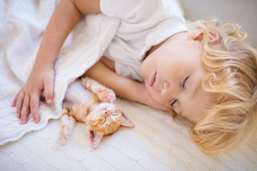 動物も人間も 子供がよく眠る のはなぜか 寝る子は育つ の真意に迫る研究 ナゾロジー
