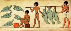 ティラピアを調理する古代エジプト人（イメージ）
