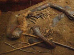 湿地に眠る2000年前の美しきミイラ「ヴィンデビーI」の正体は？性別、死因、出自全てがナゾのまま…の画像 3/5