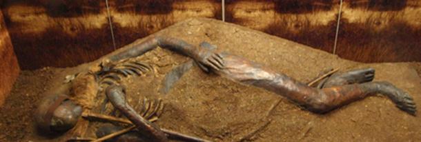 湿地に眠る2000年前の美しきミイラ「ヴィンデビーI」の正体は？性別、死因、出自全てがナゾのまま…の画像 5/5
