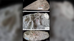 “眠ったまま化石になった”1億2500万年前の新種恐竜を発見！保存状態が完璧すぎるの画像 2/3