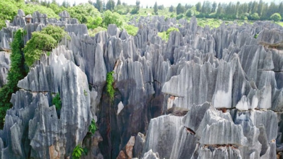 中国の「石の森」ができるメカニズムをついに解明か。石柱の先が尖る理由とは？