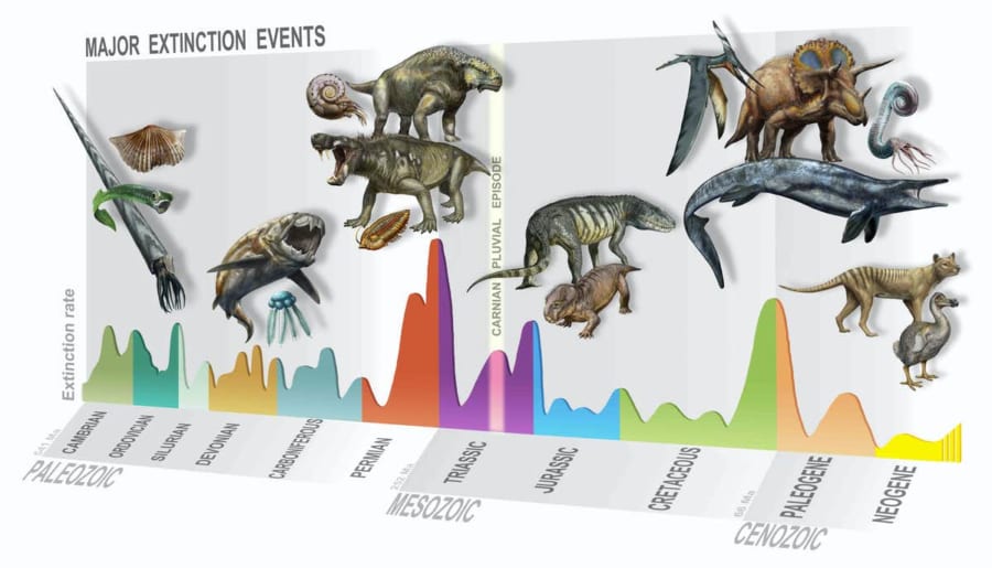 新しい「大量絶滅イベント」を発見！恐竜が勢力を伸ばしたきっかけが明らかに