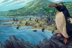 すべてのペンギンの祖先は、”失われた第8大陸ジーランディアの住人”だったの画像 1/4