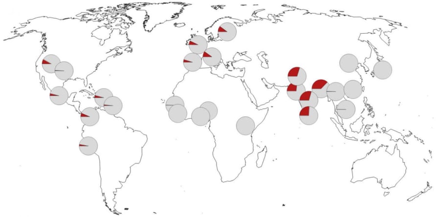 COVID-19を重症化させる「遺伝的危険因子」は”ネアンデルタール人”由来で、東アジアにはほぼ分布していないと判明！
