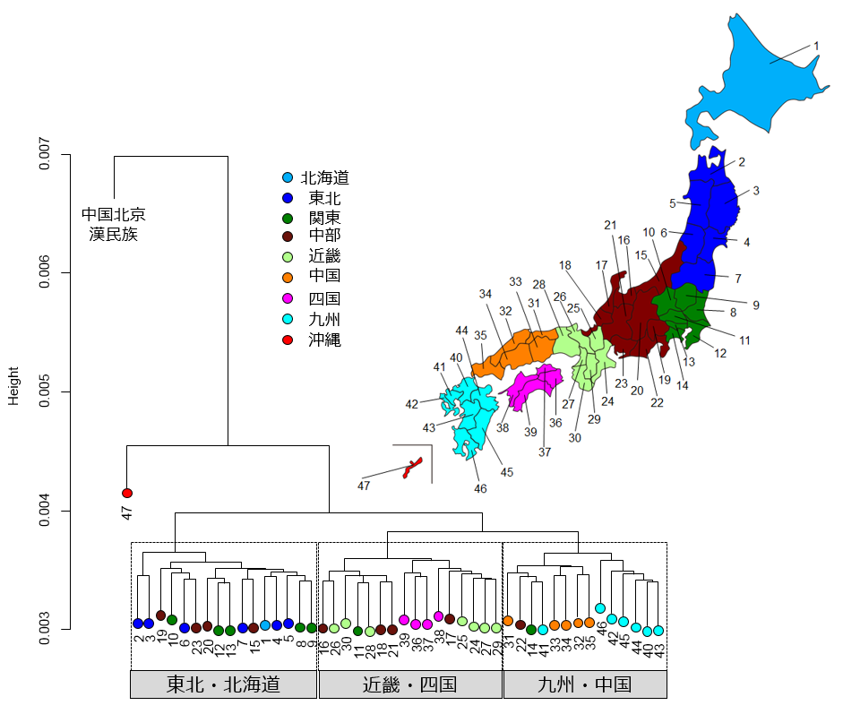47都道府県と中国・北京の漢民族を対象とした「クラスター分析」