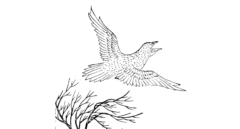古代中国の伝承にある比翼の鳥は1枚しか翼を持たないために飛ぶためにはオスとメスの2羽が寄り添わなければならない