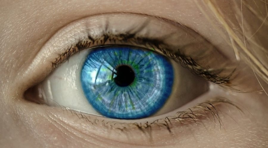 “目の遺伝子を書き換える”ことで盲目マウスの視力回復に成功！ 「年内に人間でもテスト開始」