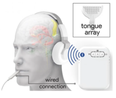 コントローラーによって2つのデバイスが舌と耳に刺激を与える