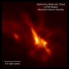 観測されたへびつかい座の分子雲密集領域。バツ印の位置がIRS 63原始星。