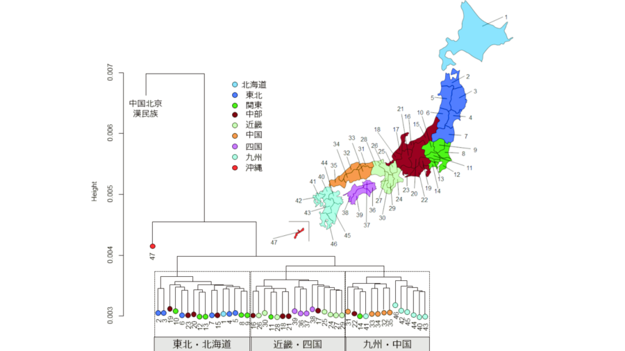 日本人の遺伝子を「47都道府県レベル」で初めて解析することに成功！ 四国・近畿がもっとも”渡来人”の遺伝子に近かった