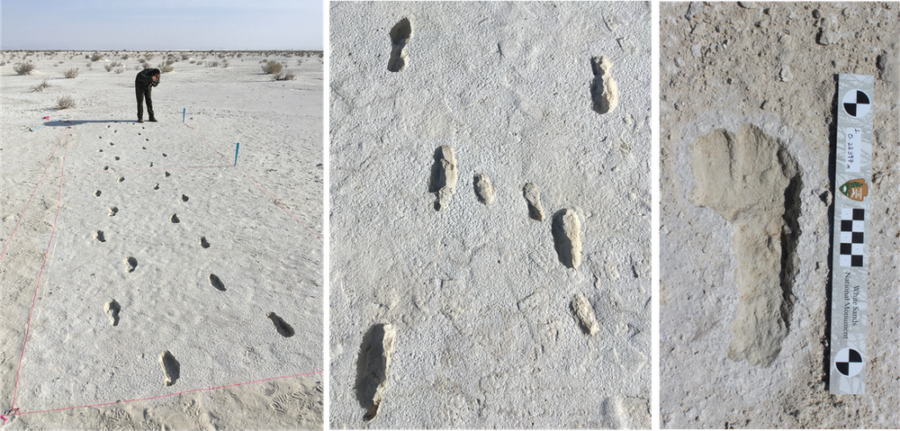 発見された足跡。（左）はっきり確認できる足跡の1つ。（中央）子供を一旦降ろしたような跡。（右）足跡のサイズからは小柄な女性だったと推測される。