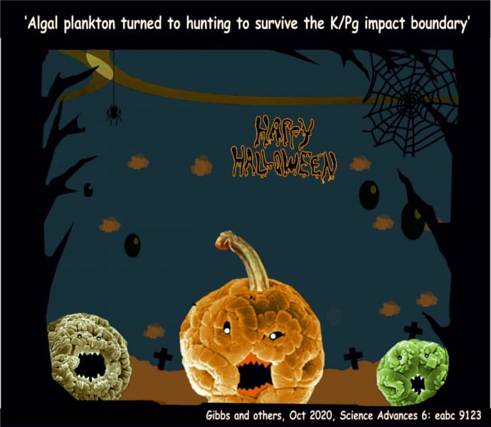 ハロウィンのかぼちゃに掛けた、古代の円石藻のジョークイラスト。