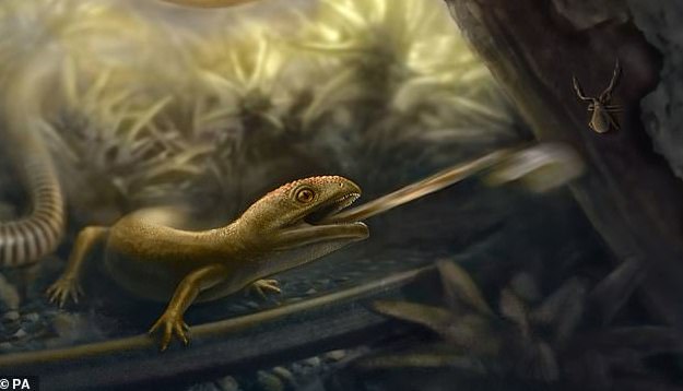 1億年前の琥珀から”新種の両生類”を特定、「ショットガン式の舌」を持っていた
