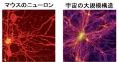 「宇宙と脳は構造が似ている」と数学的に証明される！ 宇宙は脳で脳は宇宙だった？の画像 2/4