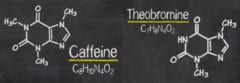 メチルキサンチン類（カフェインとテオブロミン）の構造。メチル基（CH3)の数が異なるだけでほとんど同じ。