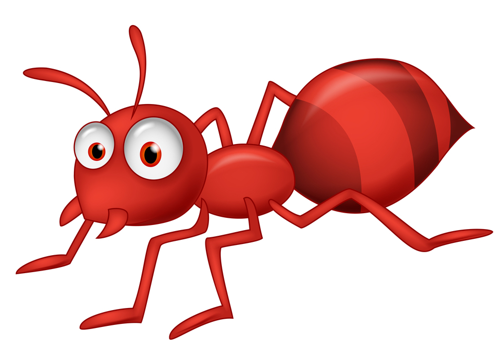 アリがアブラムシに集まるのはなぜ？