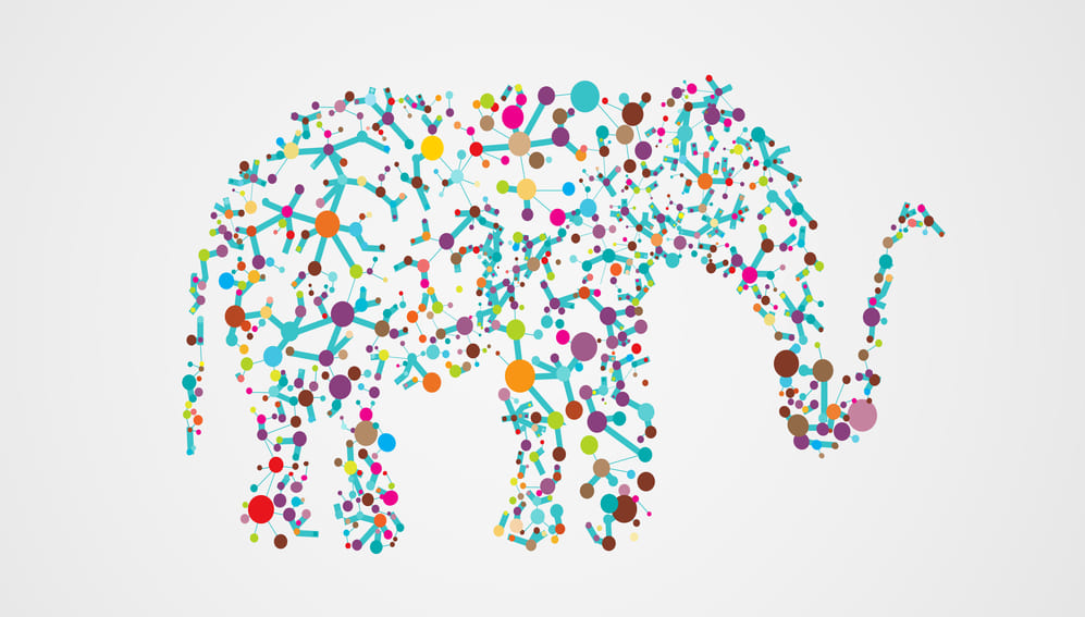 ゾウは人間の20倍もの腫瘍抑制遺伝子を持っている