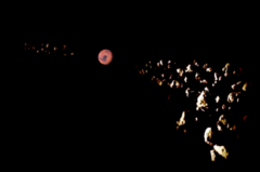 火星のトロヤ群のイメージ画像。