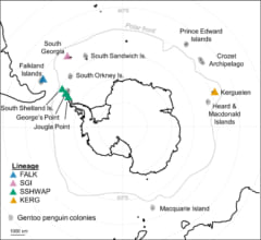 ジェンツーペンギンの生息地域。灰色の領域は既知の生息地。色付き三角が今回調査されたコロニーを示す。