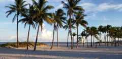 マイアミは例年、温暖な場所として有名