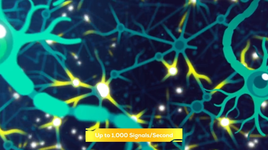 脳では毎秒1000回もの電気信号が送られている