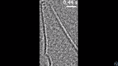 NaClの結晶化スローモーション映像。