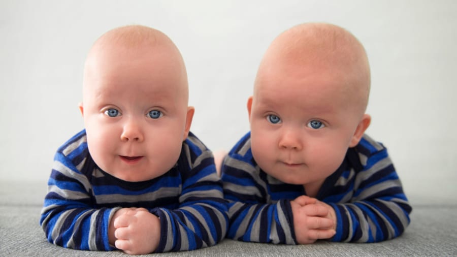 一卵性双生児の15%は「双子の片方に突然変異が集中している」という事実が判明！