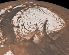 火星の極地。その下には液体の塩湖が存在する可能性がある。