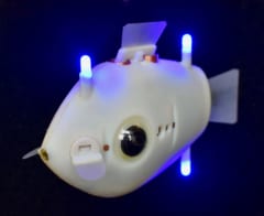 LEDとカメラによる魚ロボット「ブルーボット」。