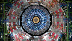 CERNが建設した大型衝突加速器の断面図