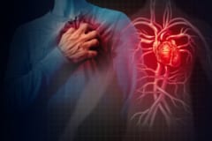 エナジードリンクの利用は、心筋細胞に悪影響を与えていると新しい研究は指摘する。