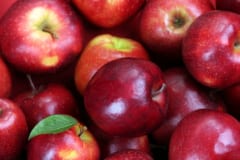 リンゴに含まれる成分には脳細胞の数を増やす効果があった