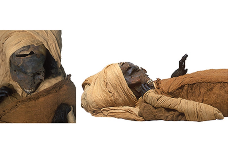 3500年前のファラオの壮絶な死因が明らかに　戦闘で「八つ裂き」にされた勇敢な王の画像 3/3