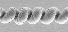 カーボンナノチューブのより糸に、電解質がコーティングされた人工筋肉の走査型電子顕微鏡画像。