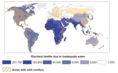 世界の下痢死者数の分布。