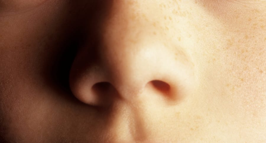 鼻の進化が水の蒸散を防いだ？