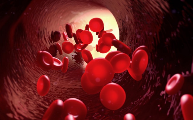 体内で酸素を運ぶ赤血球。その中にはヘモグロビンが存在している。