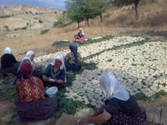トルコの村でクルトを作っている女性たち