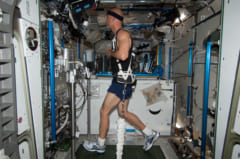 ISSに設置されたトレッドミル。