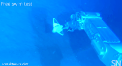 東シナ海の水深3,224メートルでロボットが自律的に泳ぐことを示したテスト。