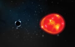ブラックホールの潮汐力が赤色巨星を歪めているように見えた。