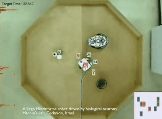 もっとも単純な自律ロボットのモデル「ブライテンベルグビークル」の動画。