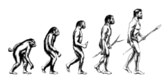 ヒトは進化の始まりから「雑食」ではなかった？